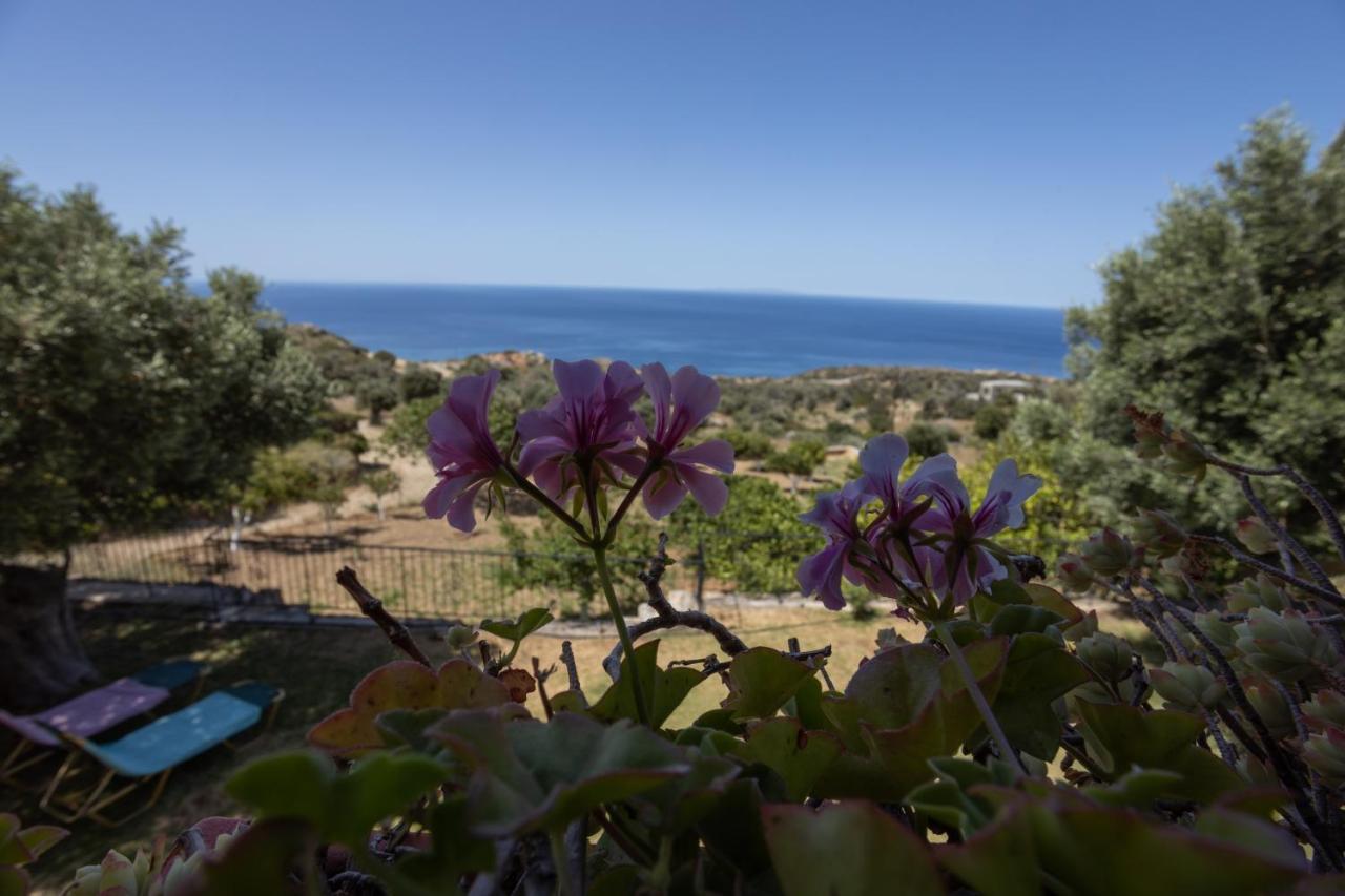 Manolis' House Villa Ajía Paraszkeví Kültér fotó